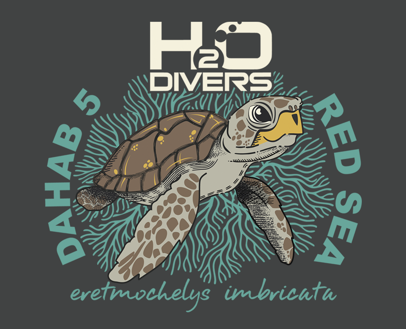 Dahab 5 Campaign for H2O Divers Dahab