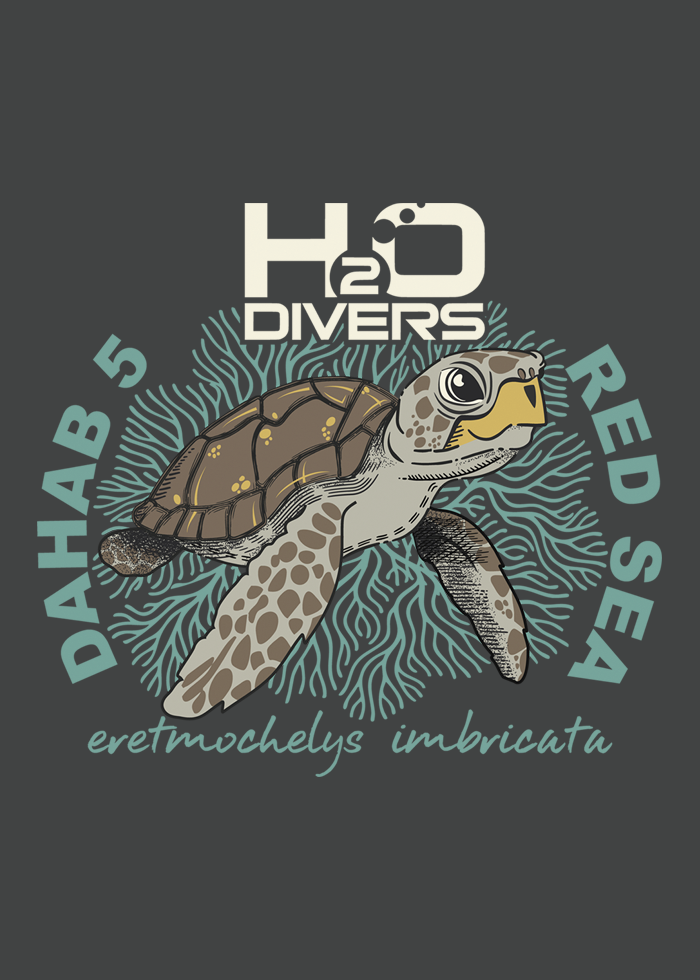 Dahab 5 Campaign for H2O Divers Dahab