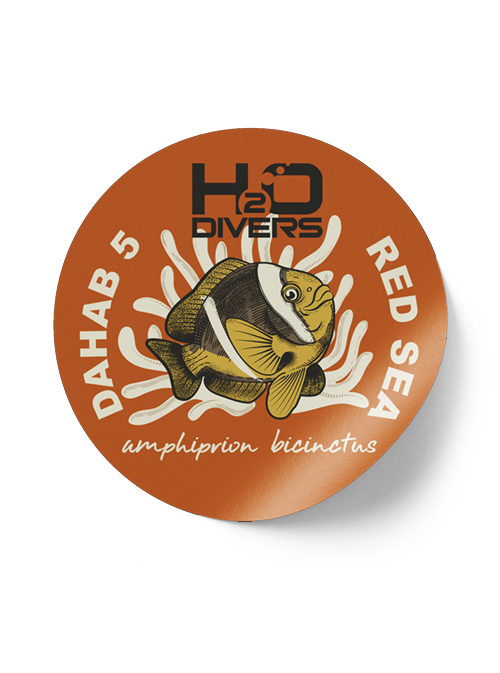 Red Sea Anemone fish stickers