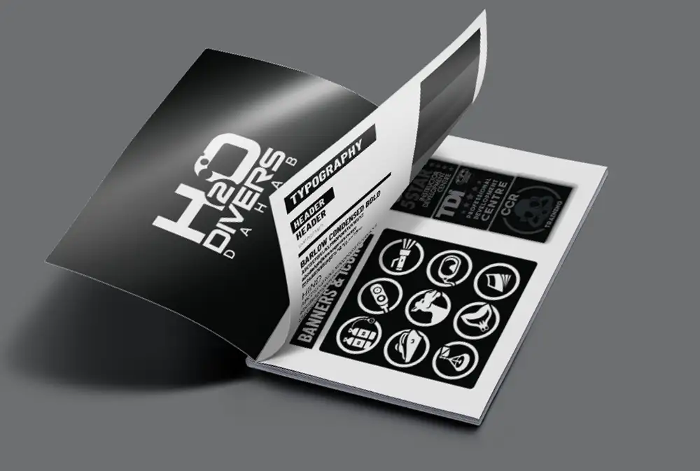 H2O Identity guidelines