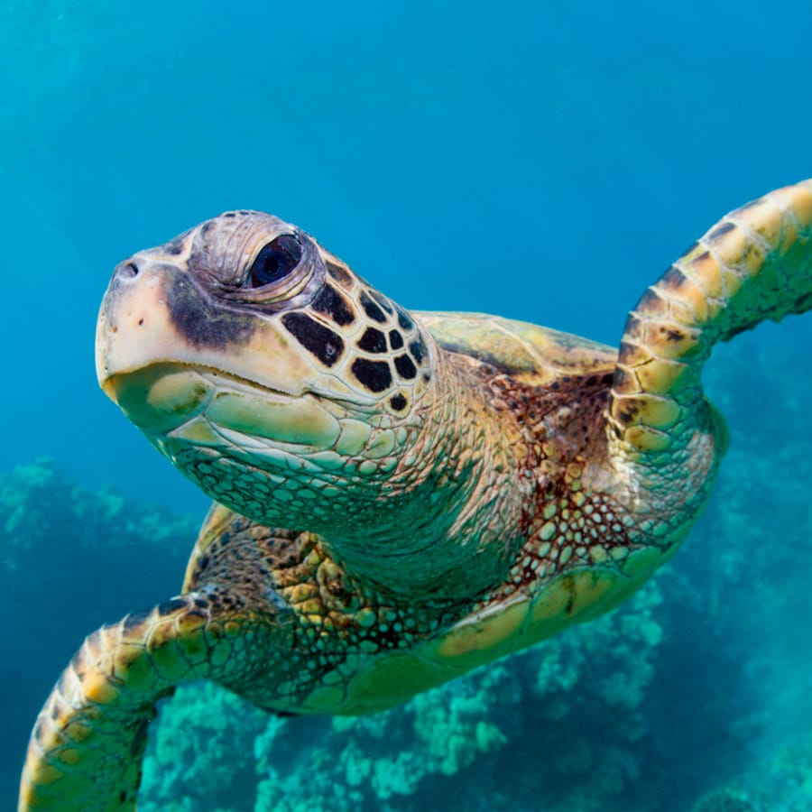 Images by Katuak for Liquid Adventures